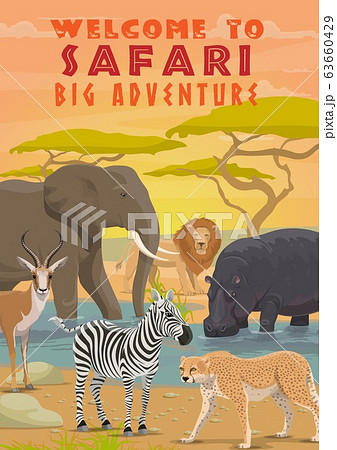 African Safari Animals Hunting Sport Toursのイラスト素材
