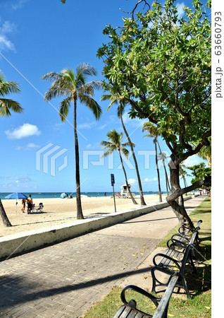 ハワイの休日 63660793