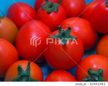 close-up ripe fresh tomatoes in blue background. 63661963