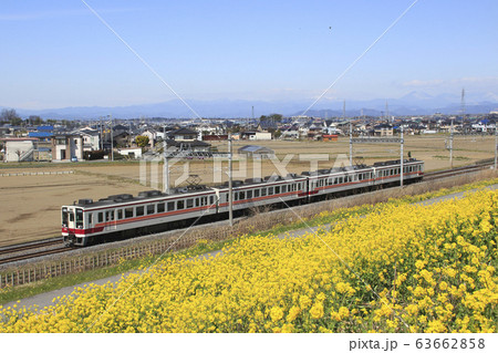 東武日光線6050系とナノハナ畑 63662858