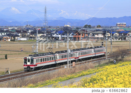 東武日光線6050系とナノハナ畑 63662862
