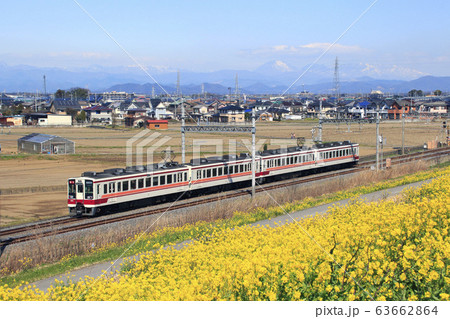 東武日光線6050系とナノハナ畑 63662864