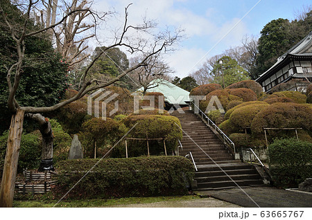 等覚院　金剛力士像　天井絵 63665767