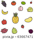 フルーツ 果物 果実 63667471