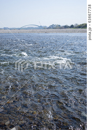 多摩川 63667738