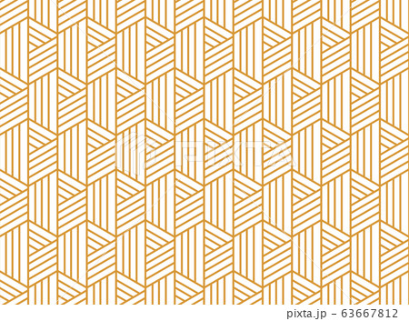 Abstract geometric pattern with stripes, lines. 63667812