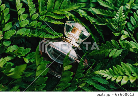 Perfume bottle with aromatic tropical scent in nature, luxury fragrance 63668012