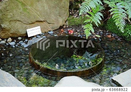 明治神宮 清正井 パワースポットの写真素材