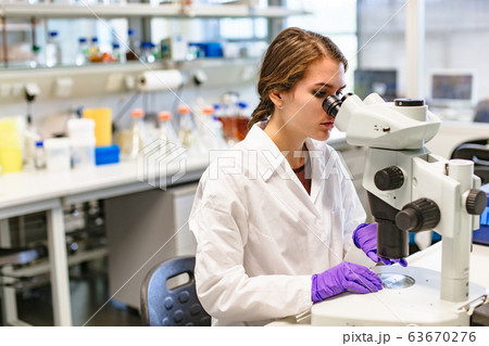 Scientists woman looking through microscope in lab Scientists woman looking through microscope in lab 63670276