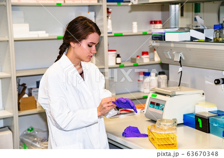 Female student or lab assistant working in lab Female student or lab assistant working in lab 63670348