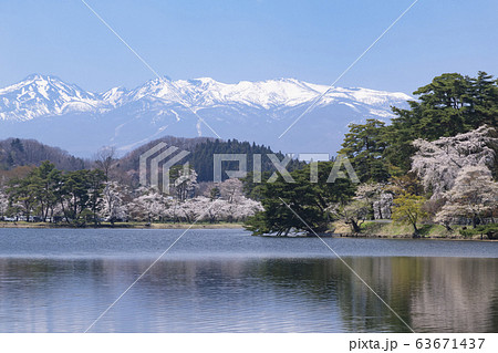 春の風景　湖畔の桜　福島県白河南湖公園 63671437