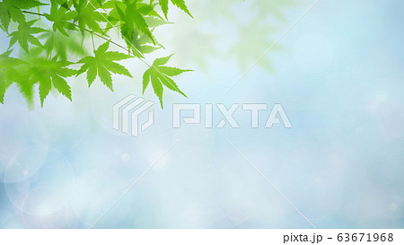 背景 和 和風 和柄 日本 春 初夏 夏 紅葉 水色のイラスト素材