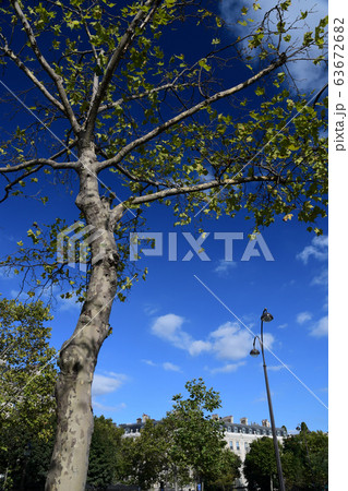 パリ 晴れた日のエトワール広場の写真素材