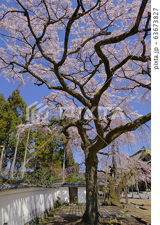 醍醐寺 三宝院 醍醐寺 三宝院 63673827