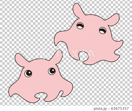 メンダコ キャラクター イラスト 63675357