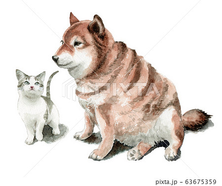 水彩で描いた雑種の老犬と子猫のイラスト素材