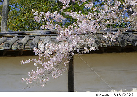 醍醐寺　三宝院 63675454