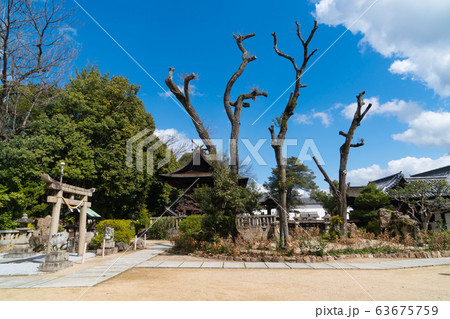 鶴形山公園 倉敷美観地区 の写真素材 鶴形山公園 倉敷美観地区 の写真素材