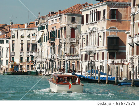 Venice street Venice street 63677878