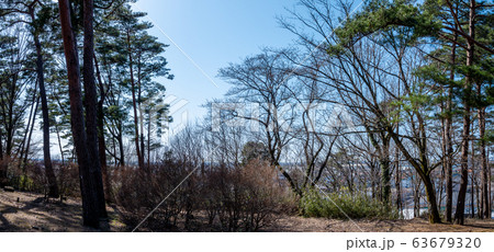 能美古墳群／和田山・末寺山史跡公園／石川県能美市／2020年3月撮影 63679320