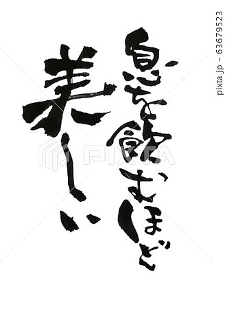 息を飲むほど美しい 筆文字 63679523