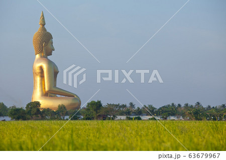 Big buddha statue 63679967