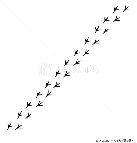 Vector black chicken bird paw foot print step path 63679997