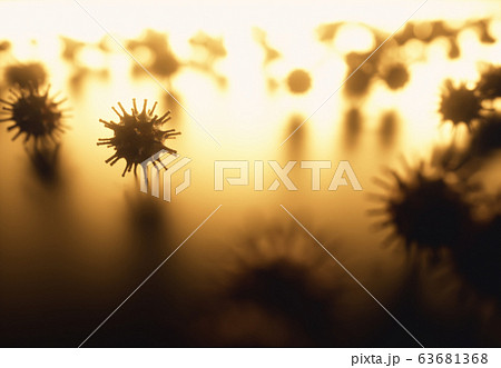 Viral Particle Conceptual Structure Virus Viral Particle Conceptual Structure Virus 63681368