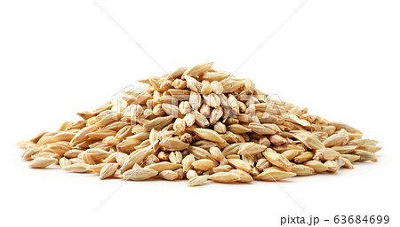 Barley grain heap close-up on a white. Isolated 63684699