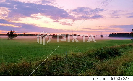 Foggy field in the north german countryside summer 63685028