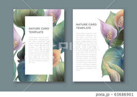 Calla flowers greeting bright card 63686901