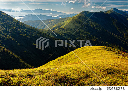 巻機山稜線の草紅葉と朝日岳・上州武尊山の眺め 63688278