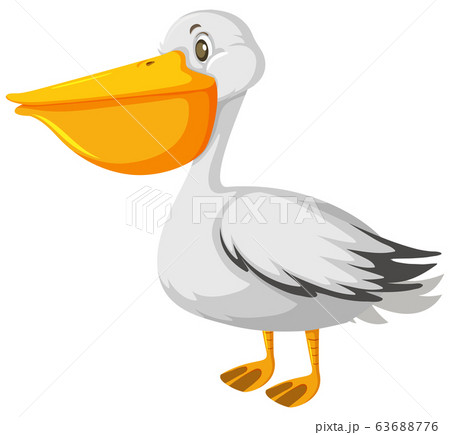 One Pelican Bird On White Backgroundのイラスト素材 One Pelican Bird On White Backgroundのイラスト素材