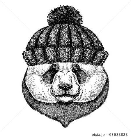 Bamboo bear. Panda. Cool animal wearing knitted winter hat. Warm headdress beanie Christmas cap for tattoo, t-shirt, emblem, badge, logo, patch 63688828