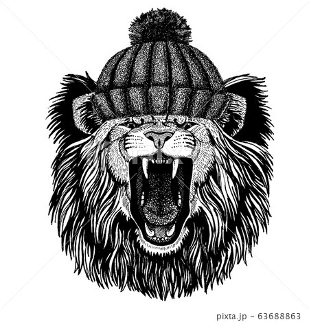 Lion Wild Cat Cool Animal Wearing Knitted のイラスト素材
