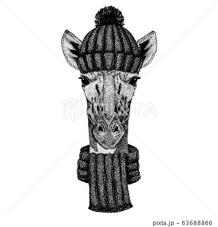 Camelopard, giraffe Cool animal wearing knitted winter hat. Warm headdress beanie Christmas cap for tattoo, t-shirt, emblem, badge, logo, patch Camelopard, giraffe Cool animal wearing knitted winter hat. Warm headdress beanie Christmas cap for tattoo, t-shirt, emblem, badge, logo, patch 63688866