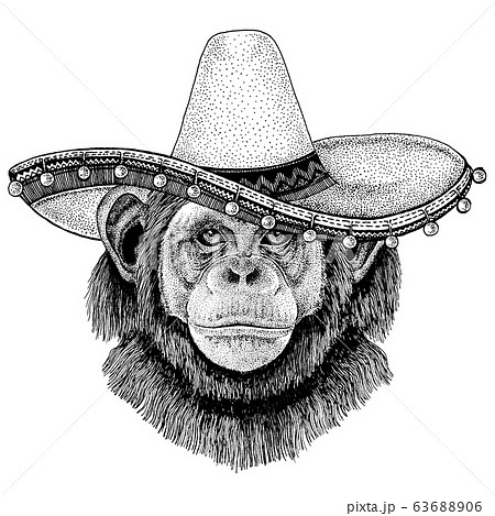 Mexican sombrero. National hat. Cinco de mayo. Day of the dead. 63688906