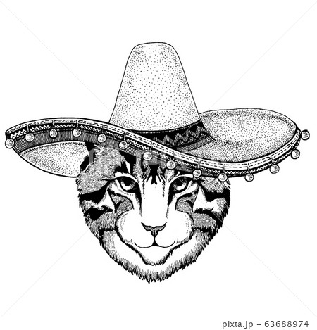Cat wearing traditional mexican hat. Classic headdress, fiesta, party. 63688974
