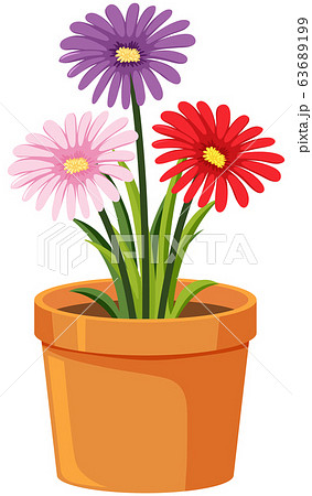 Pot of colorful flowers on white background 63689199