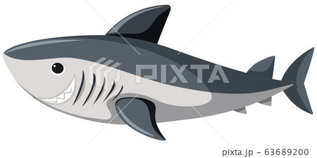 Great white shark on white background 63689200
