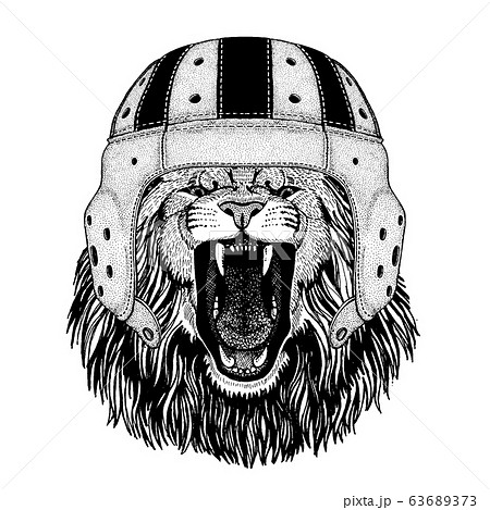 Lion. Portrait of animal wearing rugby helmet 63689373