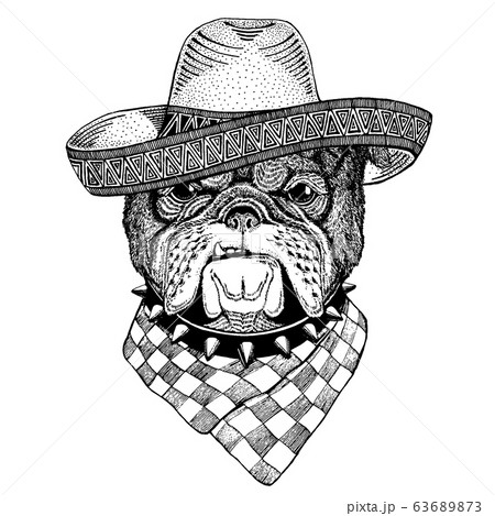 Bulldog, dog wearing traditional mexican hat. Classic headdress, fiesta, party. 63689873