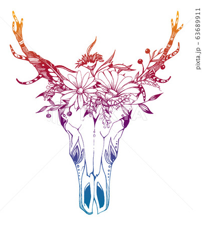 Cow, buffalo, bull skull in tribal style with flowers. Bohemian, boho vector illustration. Wild and free ethnic gypsy symbol. 63689911