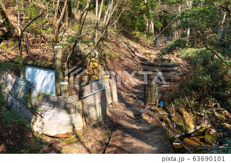六甲山(風吹岩〜雨ヶ峠) 六甲山(風吹岩〜雨ヶ峠) 63690101
