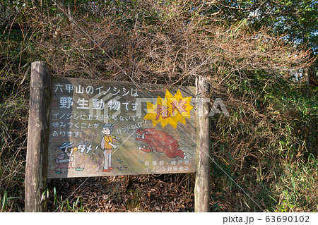 六甲山（風吹岩〜雨ヶ峠） 63690102