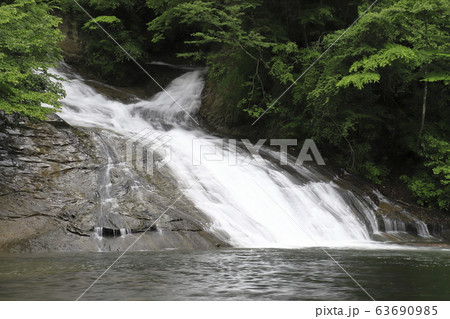 養老渓谷　新緑と豊かな水量の「粟又の滝」 63690985
