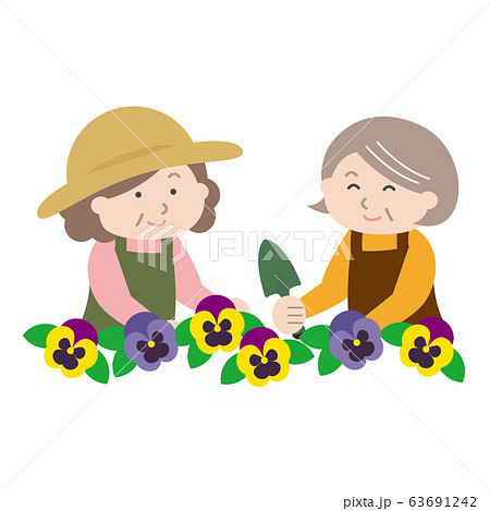 花を植えるシニア女性のイラスト素材