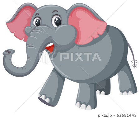 Gray elephant on white background Gray elephant on white background 63691445