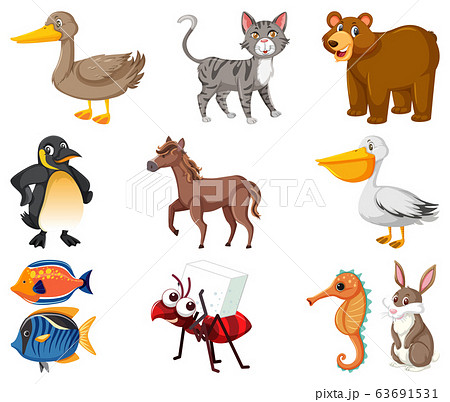 Large set of different types of animals on white Large set of different types of animals on white 63691531