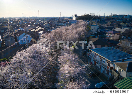 新河岸川沿いの美しい満開の桜 埼玉県川越市(ドローンによる空撮 新河岸川沿いの美しい満開の桜 埼玉県川越市(ドローンによる空撮 63691967